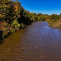 Big Valley Pecan Farm images 5