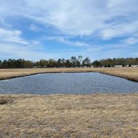 77-Acre Tract in Washington NC Ideal for Development or Sand Mining images 2