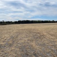 77-Acre Tract in Washington NC Ideal for Development or Sand Mining images 5