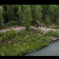 Riverside Ranch images 5