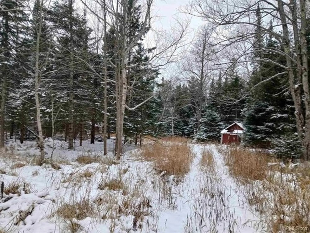 Michigan Wooded 50 - Acres 50162407 featured image