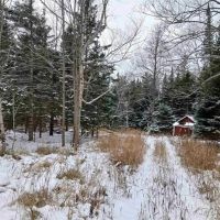 Michigan Wooded 50 - Acres 50162407