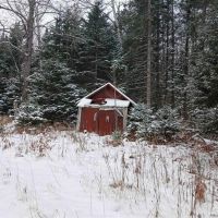 Michigan Wooded 50 - Acres 50162407 images 2