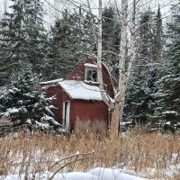Michigan Wooded 50 - Acres 50162407 images 3