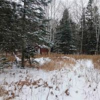 Michigan Wooded 50 - Acres 50162407 images 4