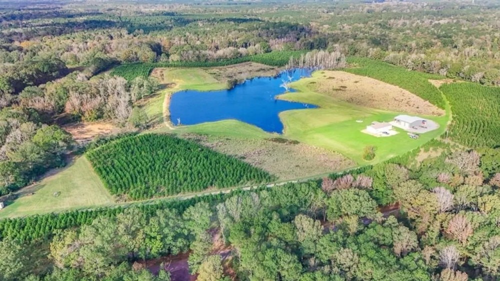 Turnkey Hunting with Lake in Amite County MS featured image