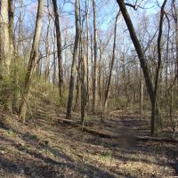 Lot 1 Cory Staunton Road