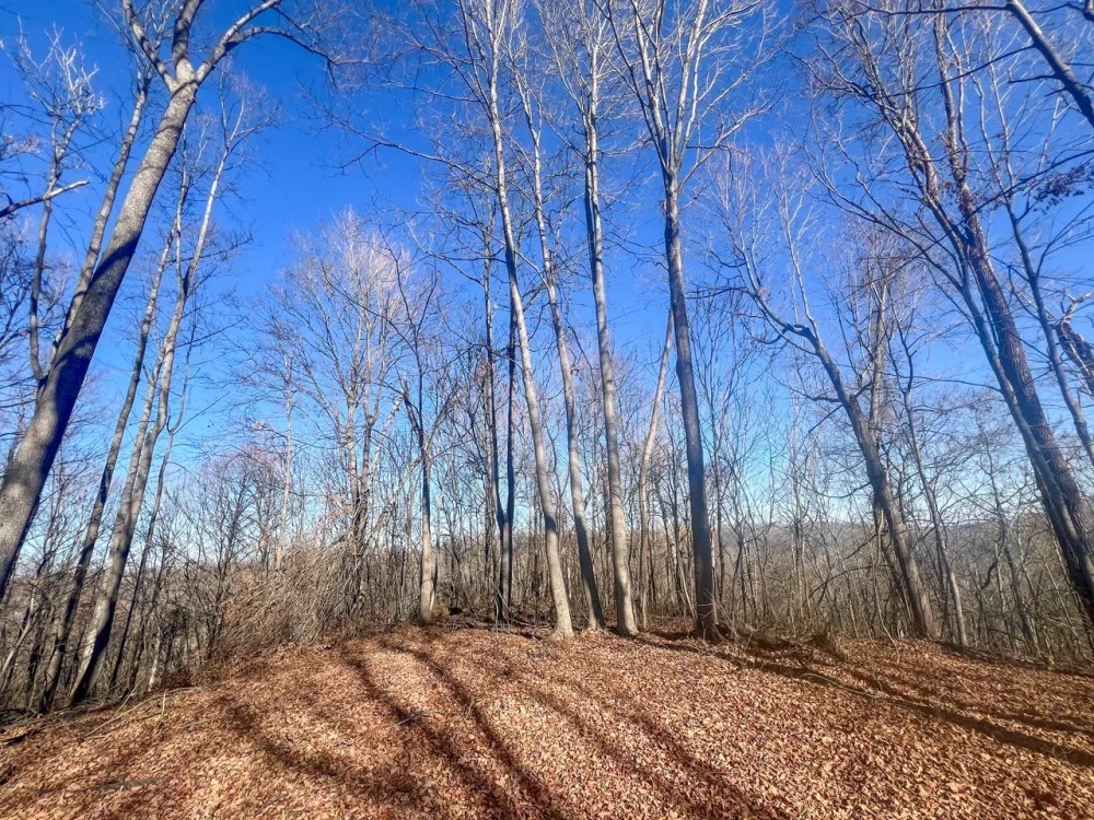 Fairgreens Rd - 23 acres - Jackson County featured image
