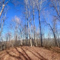 Fairgreens Rd - 23 acres - Jackson County