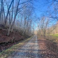 Fairgreens Rd - 23 acres - Jackson County images 3