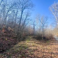 Fairgreens Rd - 23 acres - Jackson County images 4