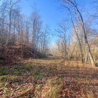 Fairgreens Rd - 23 acres - Jackson County images 5