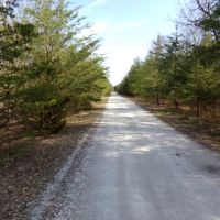 Lot 2 Cory Staunton Road