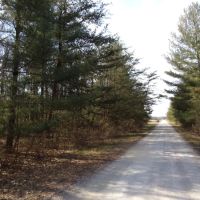 Lot 2 Cory Staunton Road images 2