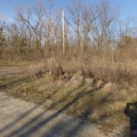 Lot 2 Cory Staunton Road images 3