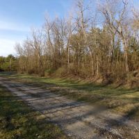Lot 2 Cory Staunton Road images 4