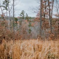 Delbridge Deer Pole Barn images 3