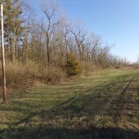 Lot 4 Cory Staunton Road images 4