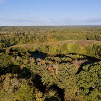 579.85 acres of Farm and Hunting Land for Sale in Cherokee Co SC Tract 2 images 2