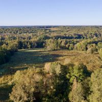 579.85 acres of Farm and Hunting Land for Sale in Cherokee Co SC Tract 2 images 3