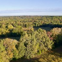 579.85 acres of Farm and Hunting Land for Sale in Cherokee Co SC Tract 2 images 4