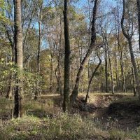 TBD County Road 1415 Bogata TX 75416