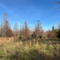 TBD County Road 1415 Bogata TX 75416 images 2