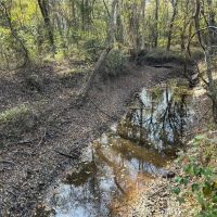 TBD County Road 1415 Bogata TX 75416 images 3