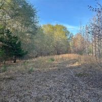 TBD County Road 1415 Bogata TX 75416 images 4