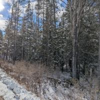 Prime Hunting Land 120 Acers,&nbsp; A Hunter’s Paradise.