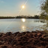 Back on the Market 140 - Acres Jones County