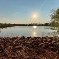 Back on the Market 140 - Acres Jones County images 2