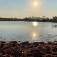 Back on the Market 140 - Acres Jones County images 3