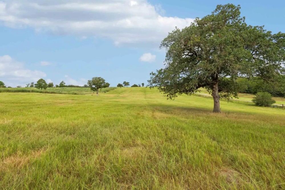 Bastrop County Red Rock Ranch SW of Bastrop featured image