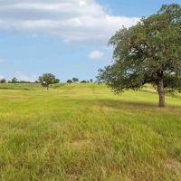 Bastrop County Red Rock Ranch SW of Bastrop images 1
