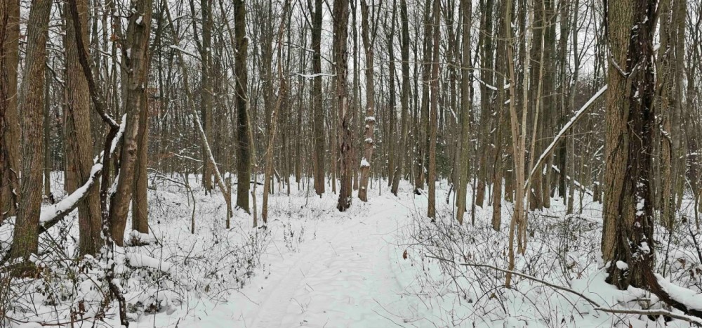 4 acres Hunting Land and Recreational Land in Wolcott NY 8424 Route 104A featured image