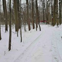 4 acres Hunting Land and Recreational Land in Wolcott NY 8424 Route 104A images 2