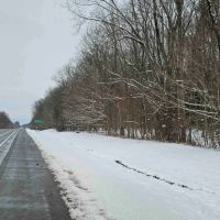 4 acres Hunting Land and Recreational Land in Wolcott NY 8424 Route 104A images 4