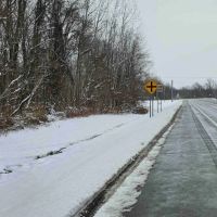 4 acres Hunting Land and Recreational Land in Wolcott NY 8424 Route 104A images 5