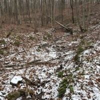 Land For Sale In Owen County IN 20 Acres - images 2