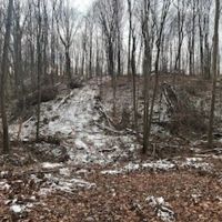 Land For Sale In Owen County IN 20 Acres - images 4