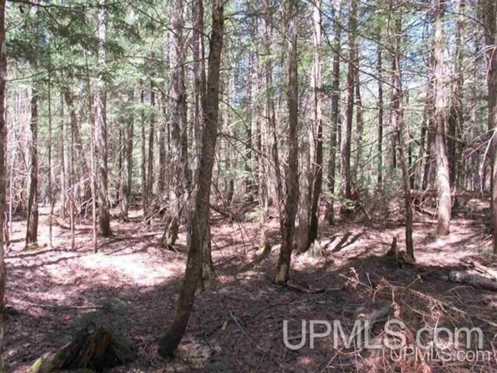 Michigan 80 Acre Property 50162405 featured image