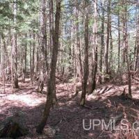 Michigan 80 Acre Property 50162405