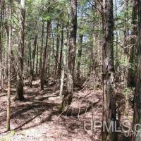 Michigan 80 Acre Property 50162405 images 2