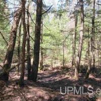 Michigan 80 Acre Property 50162405 images 3