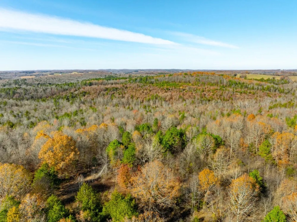 84 - Acres Hunting Property Gravel Road Frontage Sharp County Cave City Arkansas featured image