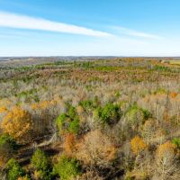 84 - Acres Hunting Property Gravel Road Frontage Sharp County Cave City Arkansas