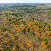 84 - Acres Hunting Property Gravel Road Frontage Sharp County Cave City Arkansas images 2