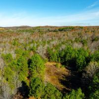 84 - Acres Hunting Property Gravel Road Frontage Sharp County Cave City Arkansas images 3