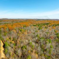 84 - Acres Hunting Property Gravel Road Frontage Sharp County Cave City Arkansas images 5
